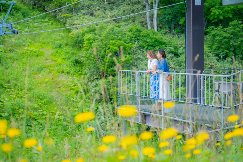 Niseko Hanazono Resort Ezo Fuji Mt. Yotei Observation Gondola - Getting to HANAZONO308