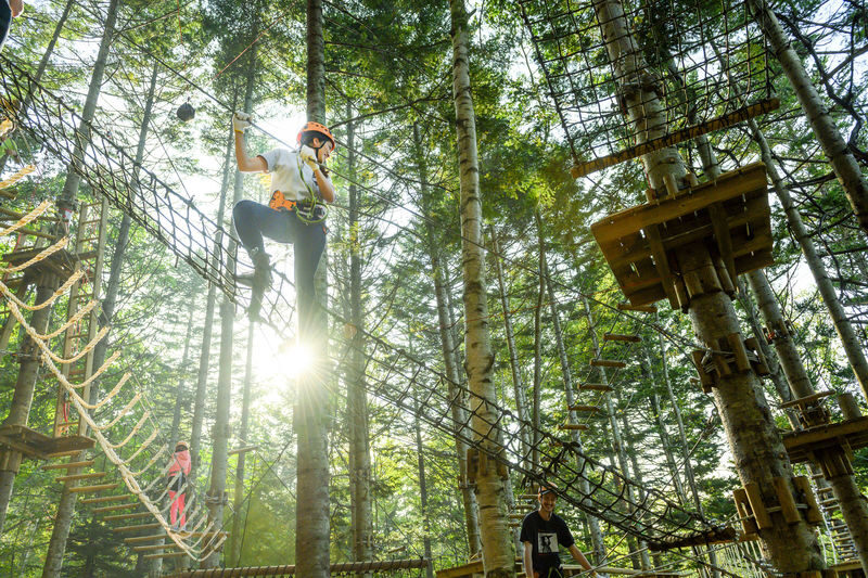 Niseko Hanazono Resort Ezo Fuji Mt. Yotei Tree Trekking - Seven courses, not just a quick zip line