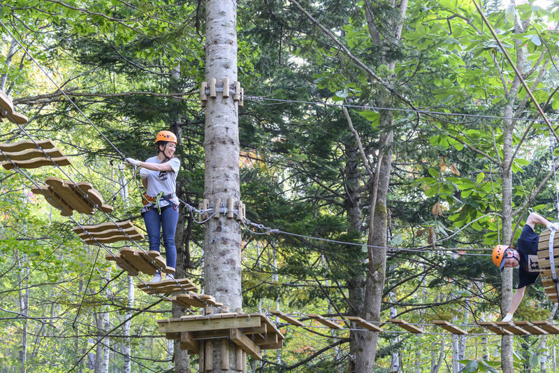 Niseko Hanazono Resort Ezo Fuji Mt. Yotei Tree Trekking - The practical route to HANAZONO308