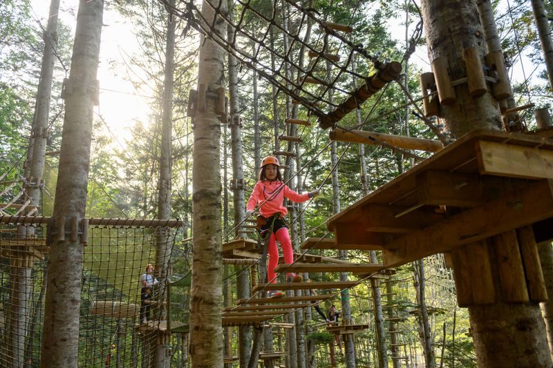 Niseko Hanazono Resort Ezo Fuji Mt. Yotei Tree Trekking - Shoes, gloves, and clothes that can take a scuff