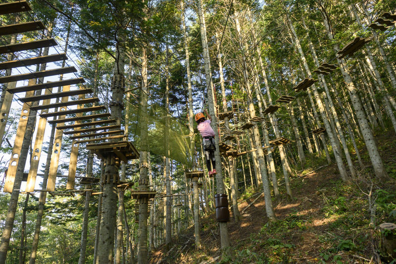 Niseko Hanazono Resort Ezo Fuji Mt. Yotei Tree Trekking - Check the size and age rules before booking