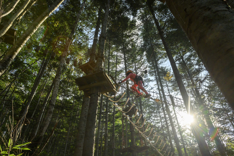 Niseko Hanazono Resort Ezo Fuji Mt. Yotei Tree Trekking - Should you book?