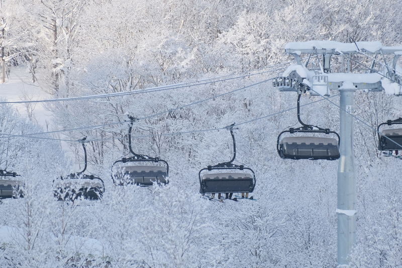 Niseko Kutchan Hanazono Ski Resort - Ski & Snowboard Rental - Who should book this rental?