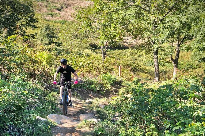 Niseko Mountain Biking Tour - Exploring the Niseko Mountain Biking Tour: An Authentic Hokkaido Adventure