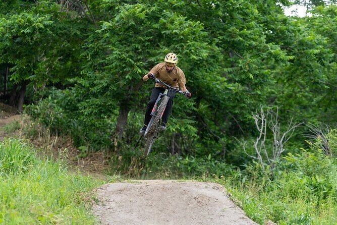 Niseko Mountain Biking Tour - What to Expect from the Niseko Mountain Biking Tour