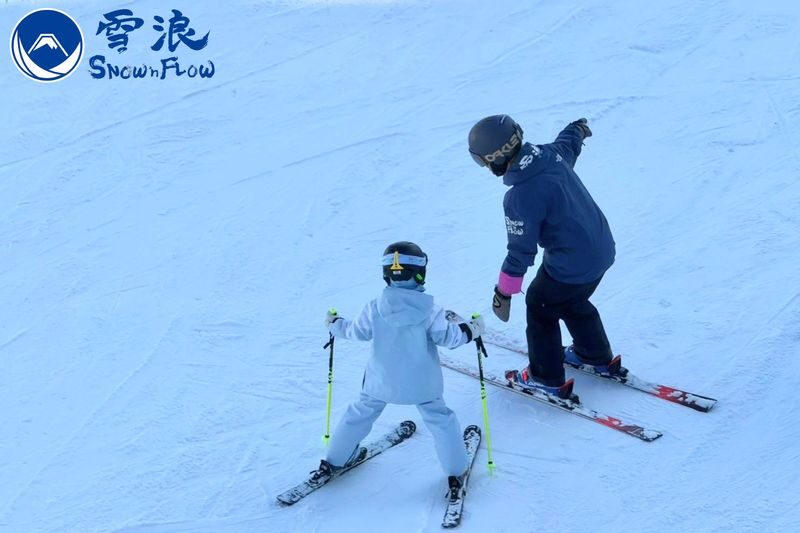 Niseko Private 3-Hour/6-Hour Ski/Snowboard Lessons - Booking details that can save time
