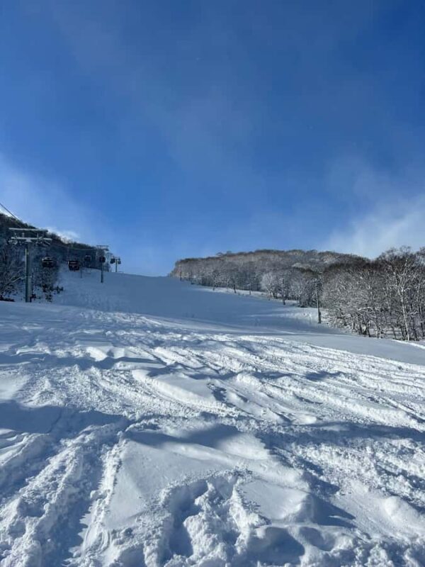 Niseko: Private Ski Lesson (Certified Instructor) - Who Is This Experience Best For?