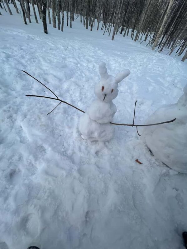 Niseko: Private Ski Lesson (Certified Instructor) - FAQ