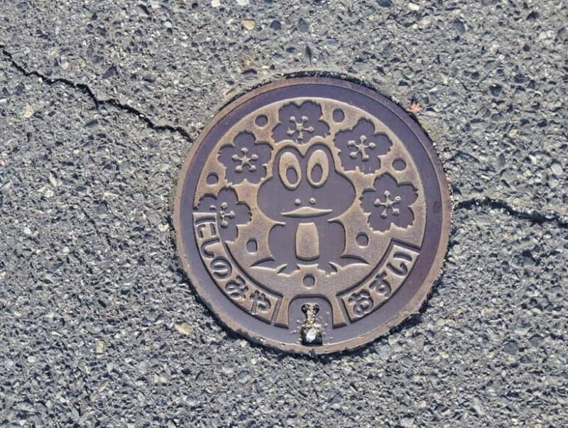 Nishinomiya: Haruhi Suzumiya Anime Locations Guided Tour - What to Expect from the Nishinomiya Haruhi Suzumiya Tour  