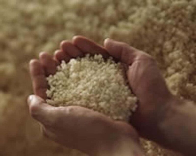 Nishinomiya: Nihonsakari Sake Brewery Tour and Tasting - Who Will Enjoy This Tour Most?