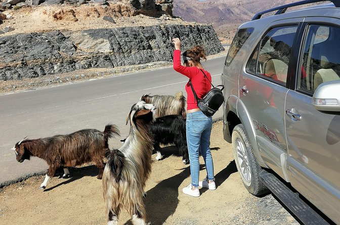 Nizwa. Hambra. Grand Canyon Oman - Accessibility Details