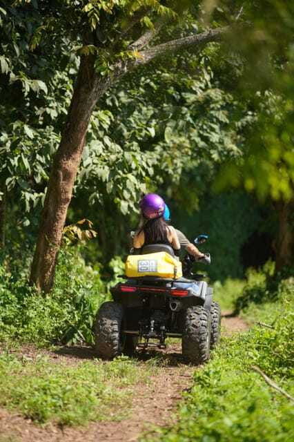 No.1 ATV 3 Hrs Mae Wang,Elephant Feeding&Rafting&Waterfall - Elephant Feeding Experience