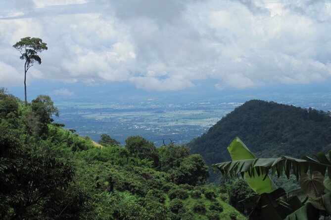 No.1 Chiang Mai: Advanced XC Downhill Biking, Doi Suthep N. Park - Cancellation Policy Details