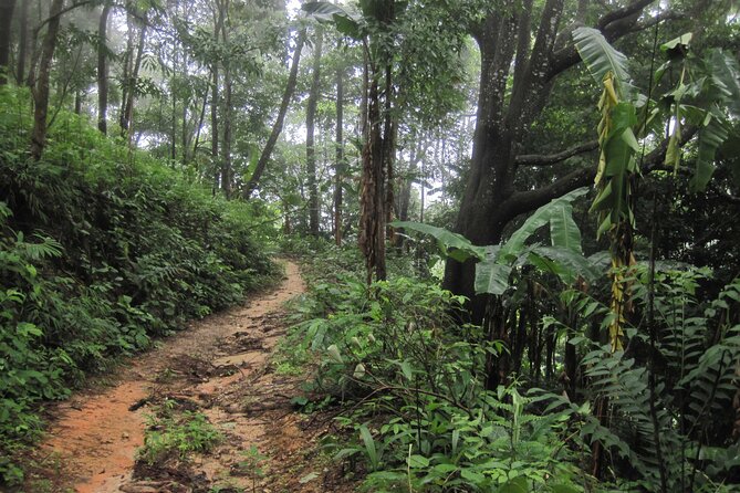 No.1 Chiang Mai: Advanced XC Downhill Biking, Doi Suthep N. Park - Pricing and Reservation