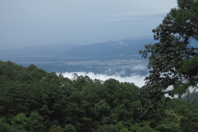 No.1 Chiang Mai: Advanced XC Downhill Biking, Doi Suthep N. Park - Customer Reviews and Ratings
