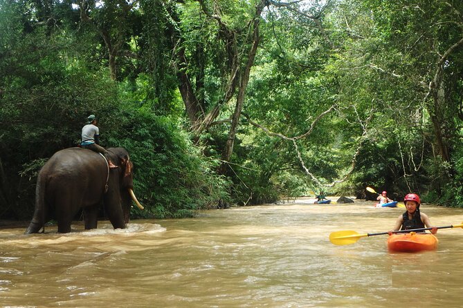 No.1 Chiang Mai : White Water Kayaking: Mae Wang Jungle River - Additional Information