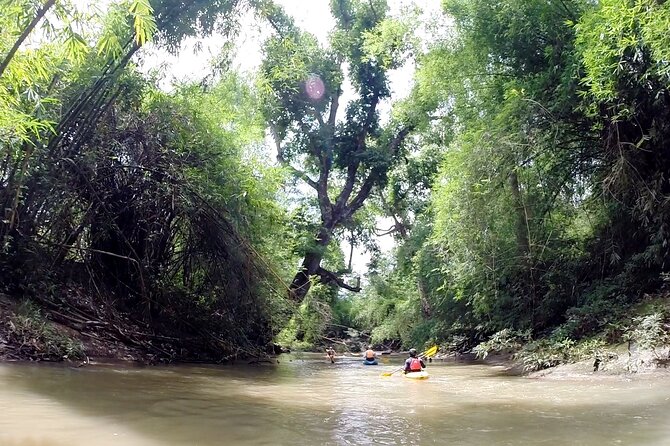 No.1 Chiang Mai : White Water Kayaking: Mae Wang Jungle River - Reviews