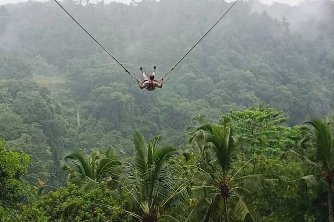 No. 1. of Ubud Activites Tour - Bali - Tour Highlights