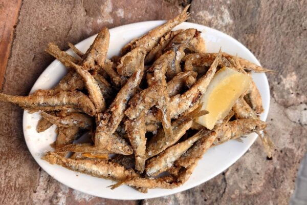 No Diet Club - Unique Local Food in Barcelona - Directions