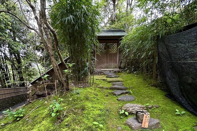 No Emission Car and Bullet Train Kyoto Shore Excursion from Kobe - The Sum Up