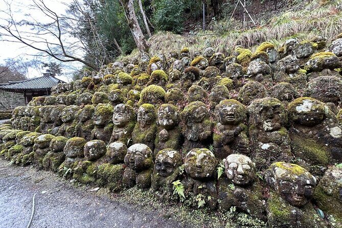 No Emission Car and Bullet Train Kyoto Shore Excursion from Kobe - Good To Know