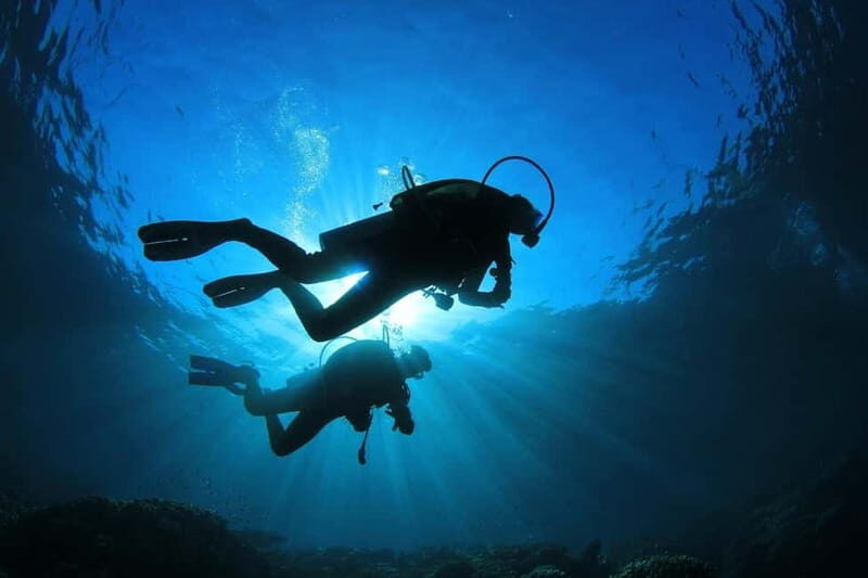 No Experience Needed-Discover Scuba Diving with Pickup - Good To Know