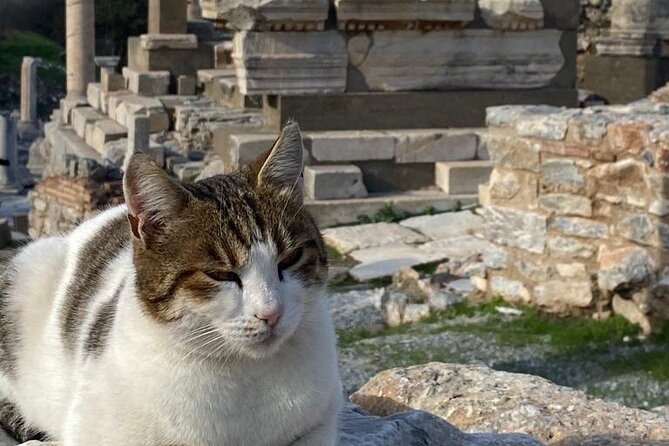 NO HIDDEN COSTS : Ephesus, Virgin Marys House, St. John Basilica - Common Questions