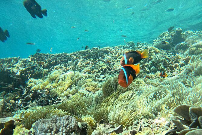 No:#1. Penida Island Tour And Snorkeling With Manta - FAQs