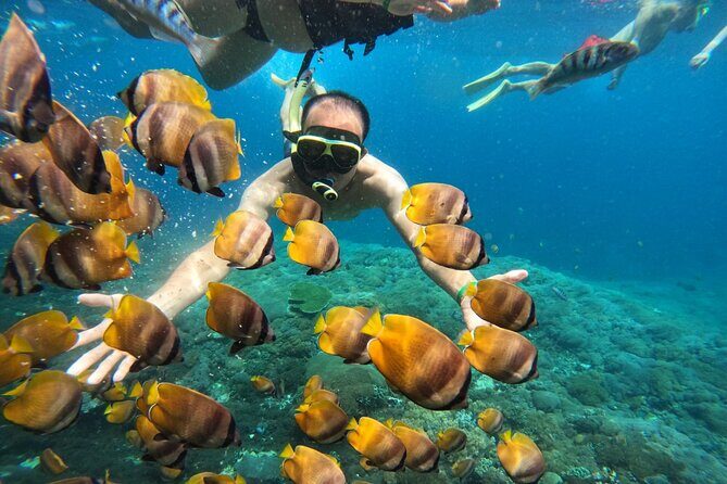 No:#1. Penida Island Tour And Snorkeling With Manta - FAQ