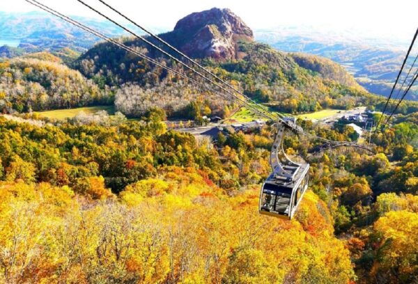 Noboribetsu: Jigokudani & Toya 1 Day Tour From Sapporo - Booking Details