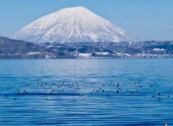 Noboribetsu Lake Toya & Otaru Panoramic One Day Tour - Important Meeting Information