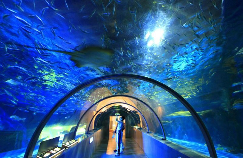 Noboribetsu Marine Park NIXE Admission Ticket - The castle aquarium and its jellyfish galleries
