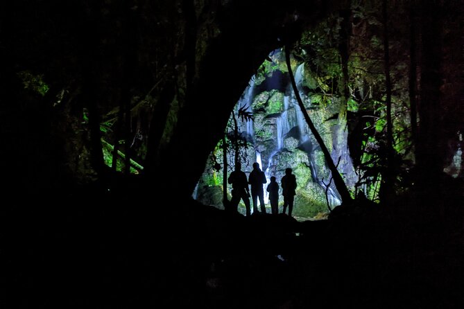 Nocturnal Adventure Glow-Worm Tour - Overview and Experience