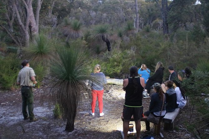 Nocturnal Wildlife Tour From Busselton or Dunsborough - Tour Overview