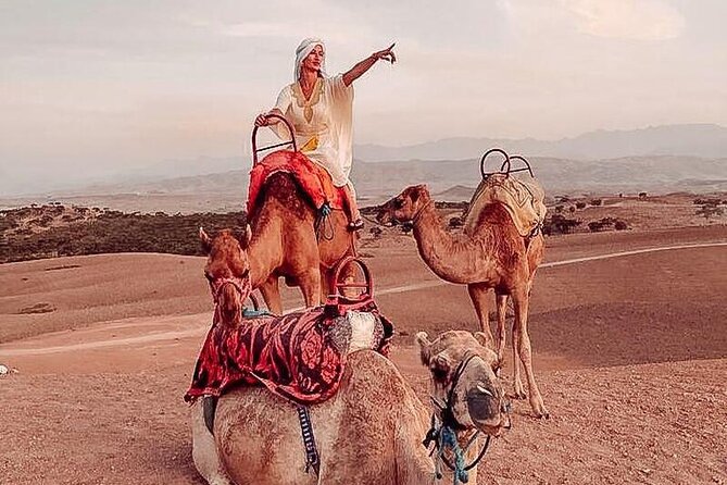 Nomad Trip With Transportation : Marrakech Desert Activities - Camel Trekking