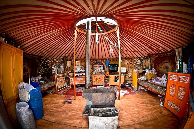 Nomadic Family Experience Day - Booking Information and Reviews