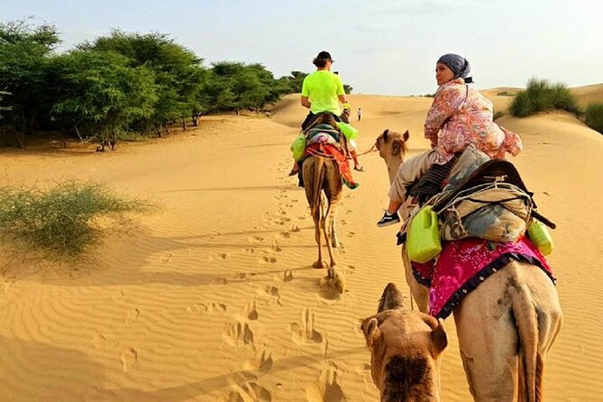 Nomadic Non-Touristic Overnight Tour & Camel Safari - Unique Experience Offered