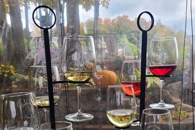 NON BUS FALL COLORS Traverse City Old Mission Wine Tour - Practical Details and Considerations