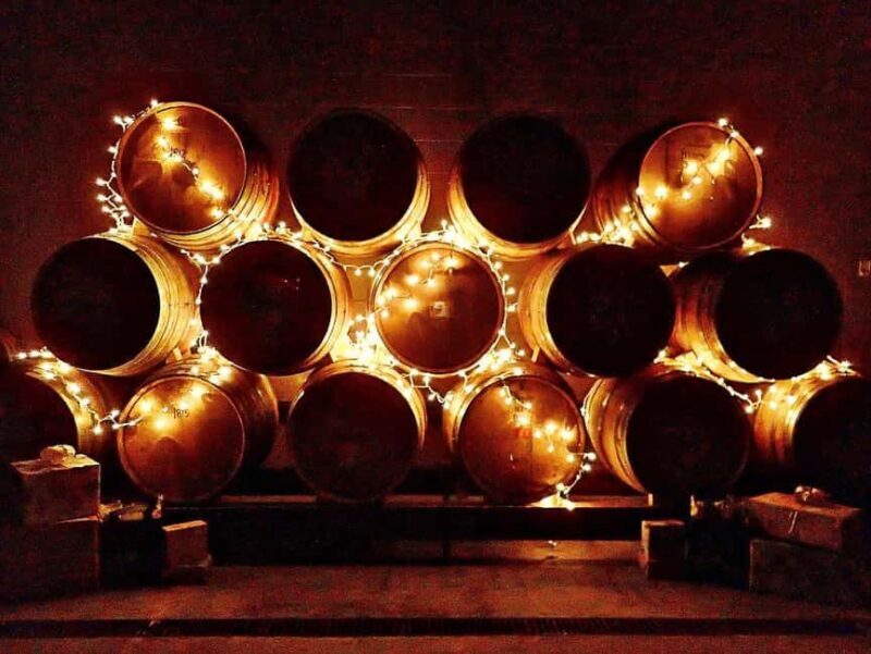 NON BUS Sunday Funday Traverse City Old Mission Wine Tour - Good To Know