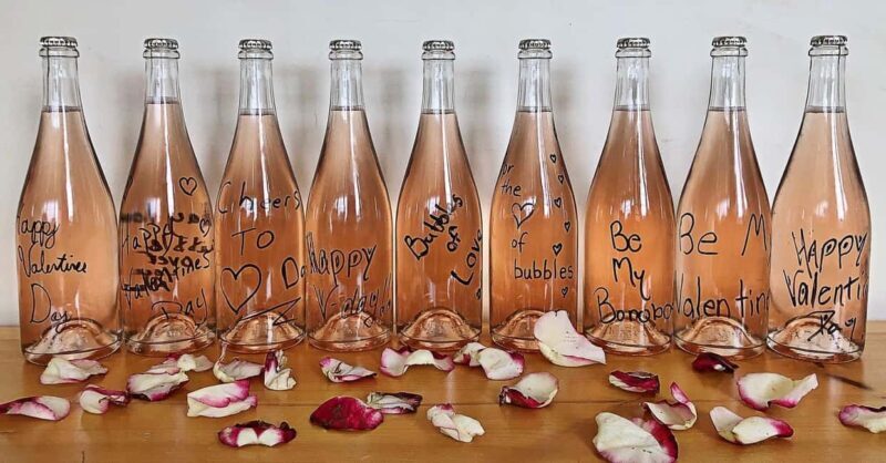 NON BUS Sunday Funday Traverse City Old Mission Wine Tour - Why This Tour Stands Out