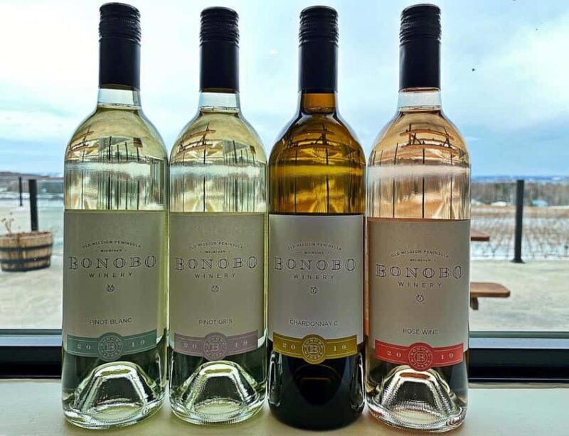 NON BUS Sunday Funday Traverse City Old Mission Wine Tour - The Vehicle & Group Experience