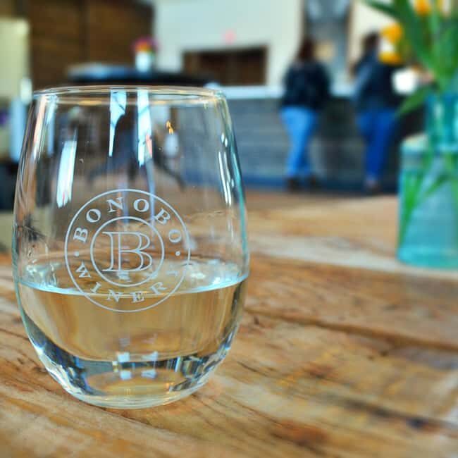 NON BUS Sunday Funday Traverse City Old Mission Wine Tour - Final Thoughts