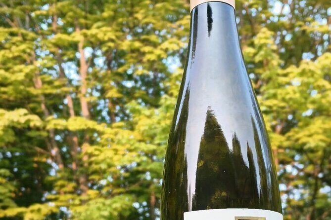 NON BUS Traverse City Fine Red Wine Tasting Tour - Authentic Insights from Reviewers