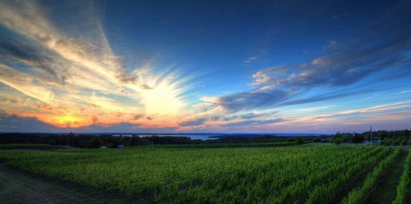 NON BUS Traverse City Old Mission Hard Cider Lovers Tour - FAQ