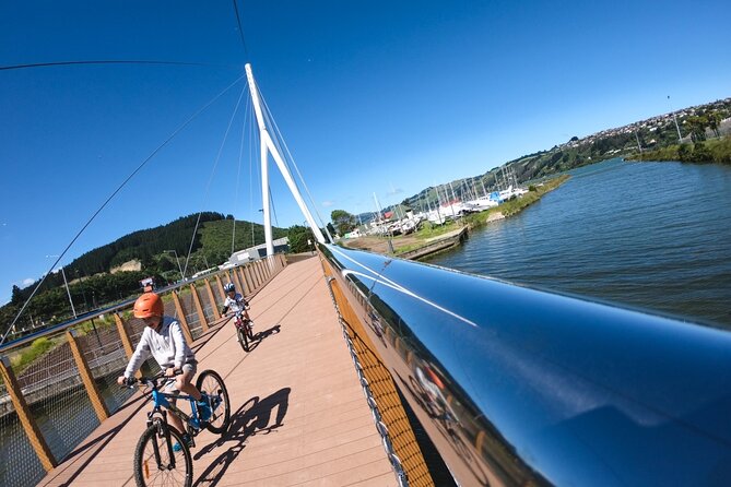 Non-Electric Bike Rental - Availability and Booking