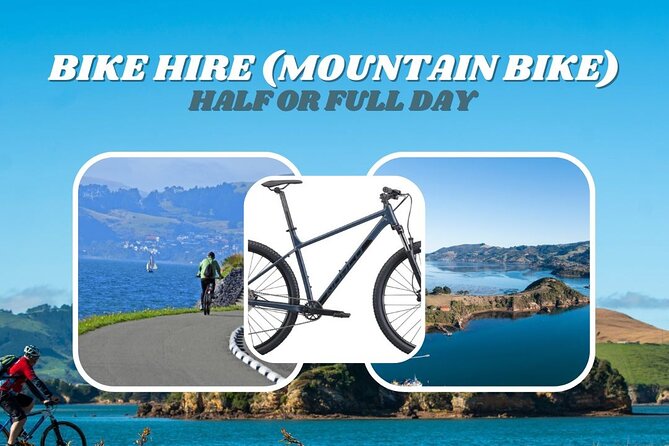 Non-Electric Bike Rental - Inclusions and Amenities