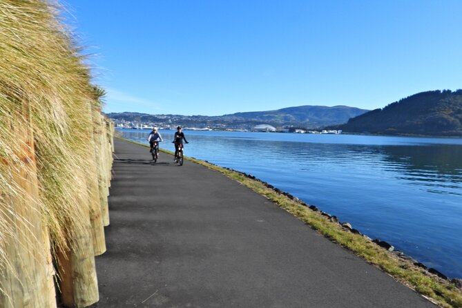Non-Electric Bike Rental - Exploring Dunedin and Surroundings