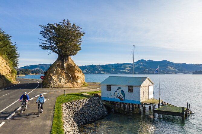 Non-Electric Bike Rental - Suitability for Travelers