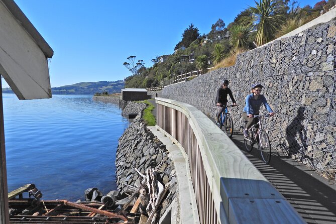 Non-Electric Bike Rental - The Sum Up
