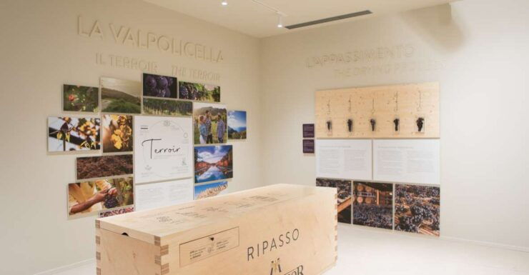 Non Guided Tour of the Wine Museum and Amarone Tasting - Activity Highlights